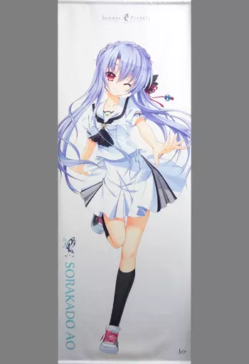 空門蒼　タペストリー Summer Pockets REFLECTION BLUE]B2タペストリー（空門蒼