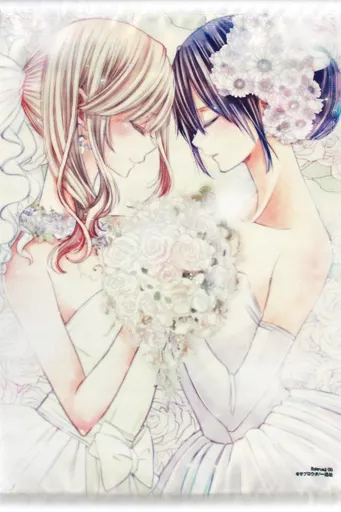 藍原柚子 藍原芽衣 A3タペストリー citrus 9巻 アニメイト限定 citrus」9巻特装版、サブロウタ書き下ろし＆アニメキャスト出演の