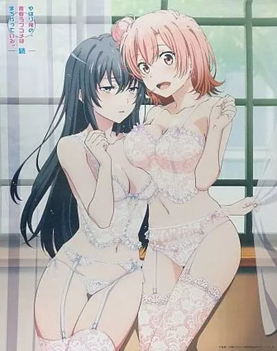 駿河屋 -<中古>雪乃＆結衣(ランジェリーver.) 描き下ろしB2 