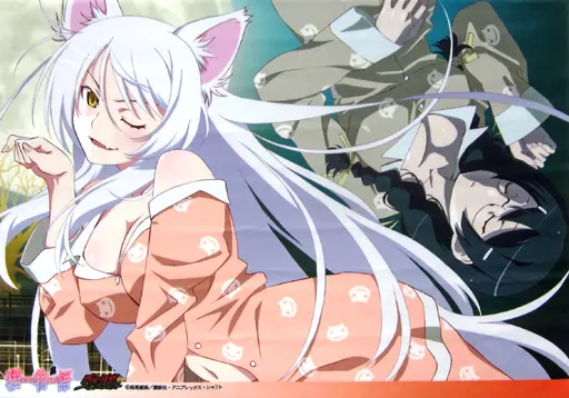 物語シリーズ キャンバスボード 猫物語 黒 羽川翼 Amazon.co.jp: 猫物語 黒 : 羽川翼 (CV:堀江由衣): デジタルミュージック