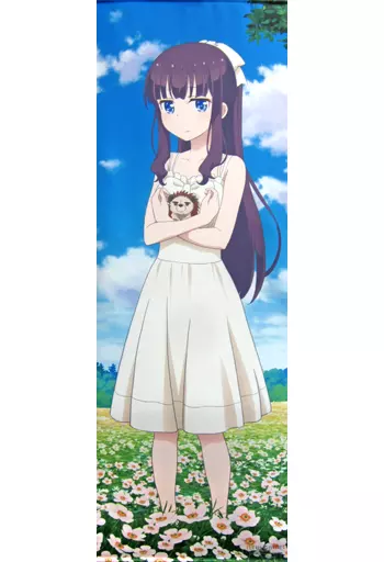 駿河屋 -<中古>滝本ひふみ 等身大タペストリー 「NEW GAME!」 げっちゅ 