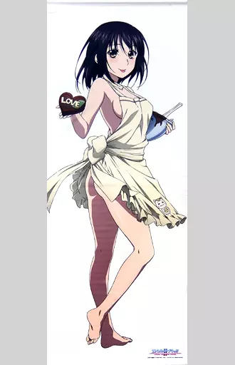 駿河屋 -<中古>姫柊雪菜 エプロンver. 等身大タペストリー 