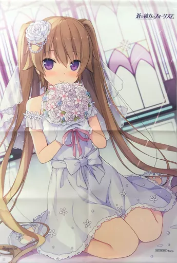 駿河屋 -<中古>有坂真白 描き下ろしB2Wスエードタペストリー 「PC 