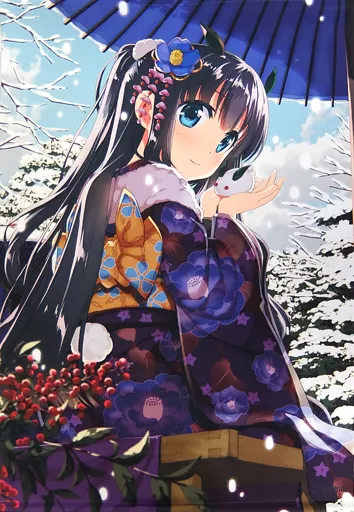 駿河屋 -<中古>雪うさぎ Extra Edition(藤真拓哉) B2タペストリー 