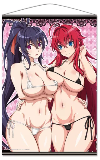 タペストリー　B.リアス＆朱乃 B2タペストリー 「ハイスクールD×D HERO」
