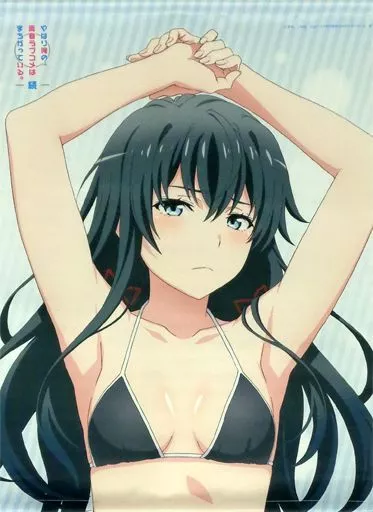 やはり俺の青春ラブコメはまちがっている。 立体マウスパッド+特典タペストリー やはり俺の青春ラブコメはまちがっている。 立体マウスパッド+特典