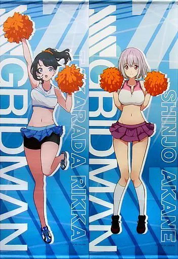 タペストリー　全2種セット ロングタペストリー 「キャラ福くじ SSSS.GRIDMAN」 A賞