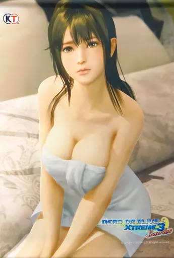 タペストリー　[単品] みさき B2タペストリー 「PS4/Switchソフト DEAD OR ALIVE Xtreme3 Scarlet GAMECITYセット/GAMECITY最強セット」 同梱特典