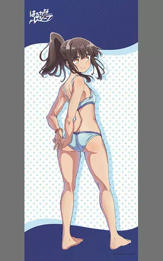タペストリー　比嘉かなた 描き下ろし等身大タペストリー 「はるかなレシーブ」