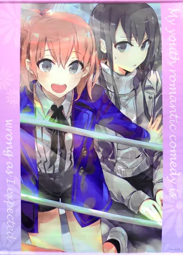 駿河屋 -<中古>雪ノ下雪乃＆由比ヶ浜結衣(私服) B1タペストリー 「ぽん 