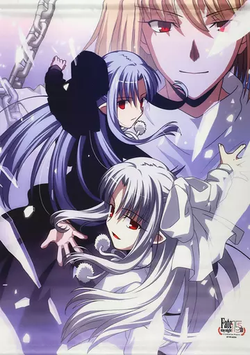 メルティブラッド：タイプルミナ/ソフマップ特典 B2タペストリー Amazon.co.jp: MELTY BLOOD:TYPE LUMINA メルティブラッド