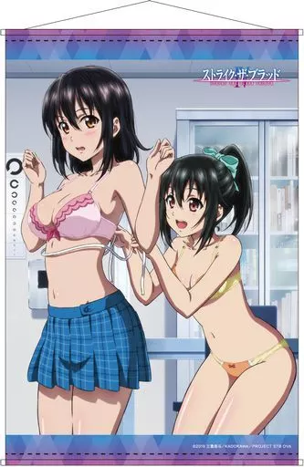 タペストリー　姫柊雪菜＆暁凪沙 B2タペストリー 「ストライク・ザ・ブラッドIV」