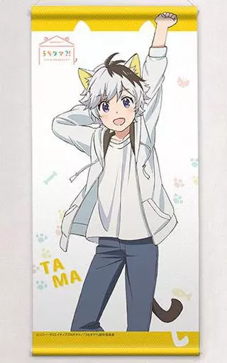岡本タマ ミニ 「うちタマ?! ~うちのタマ知りませんか?~」_image