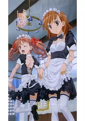 とある科学の超電磁砲 御坂美琴 白井黒子 スリーブ 値下げ可能 第142弾 ブシロードスリーブコレクションHG Vol.631～635｜ブシロード