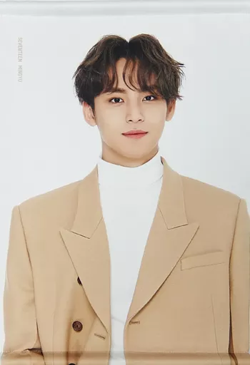 ミンギュ　タペストリー 駿河屋 -<中古>ミンギュ A3タペストリー 「SEVENTEEN 2020 WINTER