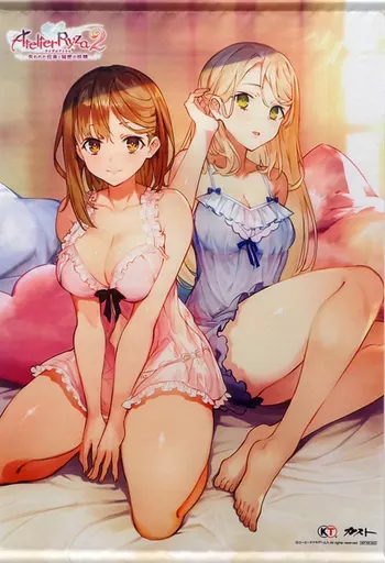 駿河屋 -<中古>ライザ＆クラウディア 描き下ろしB2タペストリー 「PS4