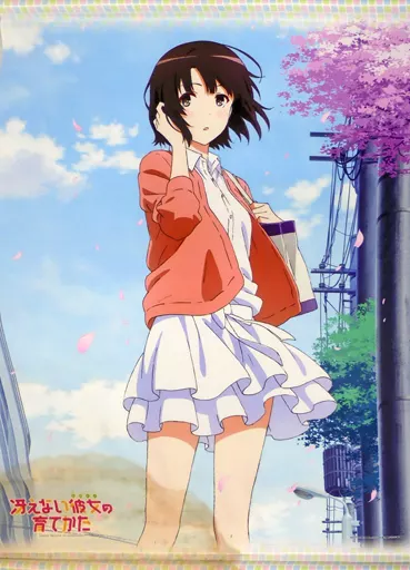 駿河屋 -<中古>[破損品] 加藤恵 B1縦特大ダブルスエードタペストリー