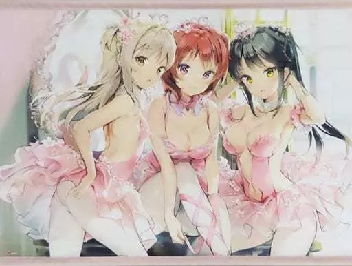駿河屋 -<中古>[付属品欠品] フラミンゴバレエ団(Anmi) B1タペストリー 
