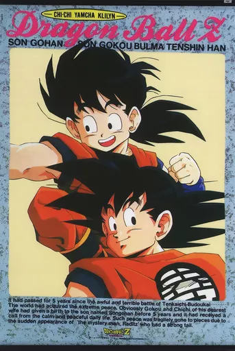 駿河屋 -<中古>悟空＆悟飯(背景グレー) タペストリー 「ドラゴンボール