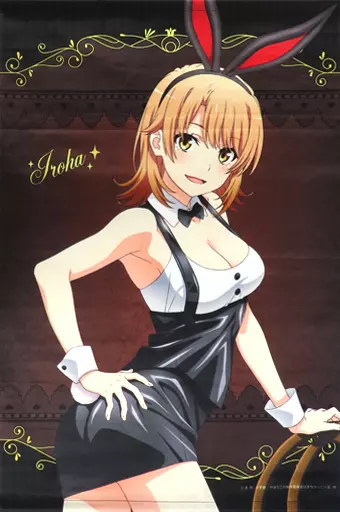 俺ガイル 風呂上がり ドンキ 等身大タペストリー いろは Amazon.co.jp: 俺ガイル ドンキ 風呂上がり 等身大タペストリー いろは