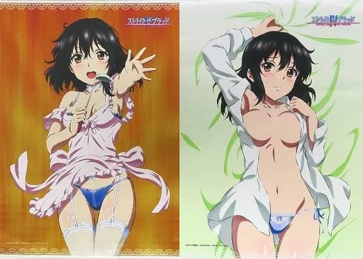 タペストリー　全2種セット ご飯にする…?お風呂にする…? B2タペストリー 「くじ引き堂 ストライク・ザ・ブラッドIV 雪菜とドキドキ新婚生活 オンラインくじ」 A賞