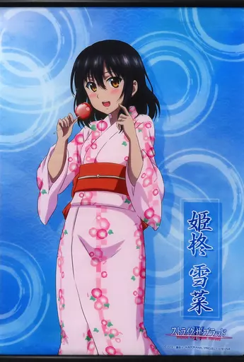 駿河屋 -<中古>姫柊雪菜(浴衣) B2タペストリー 「ストライク・ザ 