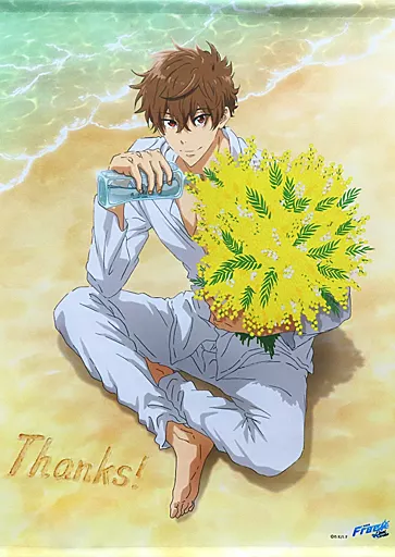 駿河屋 -<中古>桐嶋夏也 Thanks! Birthday タペストリー 「Free