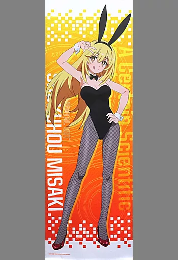 とある科学の超電磁砲 ロングタペストリー 食蜂操祈 どこプラ くじメイト 駿河屋 -<中古>食蜂操祈 ロングタペストリー 「どこプラ×くじメイト と