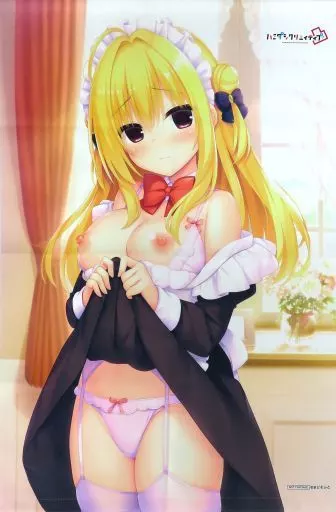駿河屋 -アダルト<中古>[単品] 和泉妃愛 描き下ろしB2Wスエード