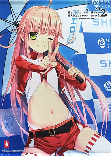 駿河屋 -<中古>渡会ヒナミ B2タペストリー 「抜きゲーみたいな島