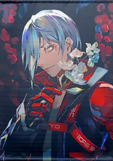 NO IMAGE