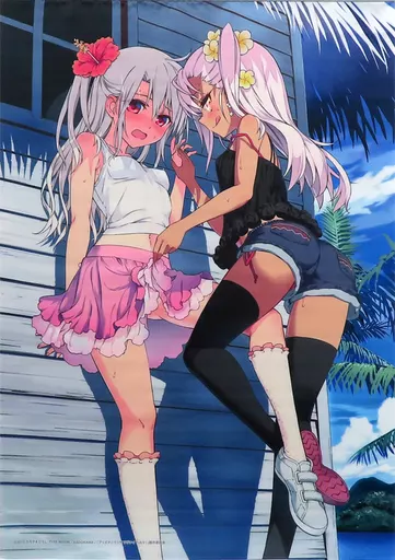 俺の嫁!拾玖 アーガイル イリヤ&クロエ B2タペストリー！ 抱き枕