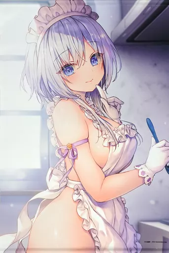 タペストリー　姫路白雪 B2タペストリー(MFたぺJ084) 「ライアー・ライアー」