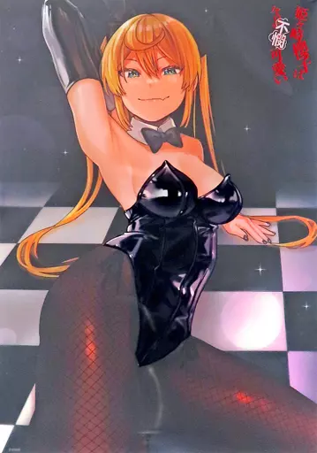 ぬきたしR(3) ゲーマーズ限定版　描き下ろし　A3おめくりクリアタペストリー ぬきたしR 3 ゲーマーズ限定版 描き下ろしA3おめくりクリア