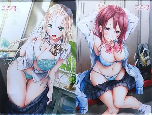 タペストリー　池永アヴローラ＆葛城七瀬 B2タペストリー2本セット 「PS4/Switchソフト アイキス3Cute」 トレーダー購入特典