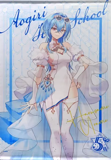 春雨麗女　5th Anniversary B2タペストリー 駿河屋 -<中古>春雨麗女 5th Anniversary B2タペストリー