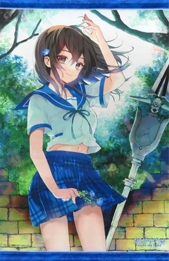 駿河屋 -<中古>[単品] 姫柊雪菜 B2タペストリー 「マニャ子画集2 