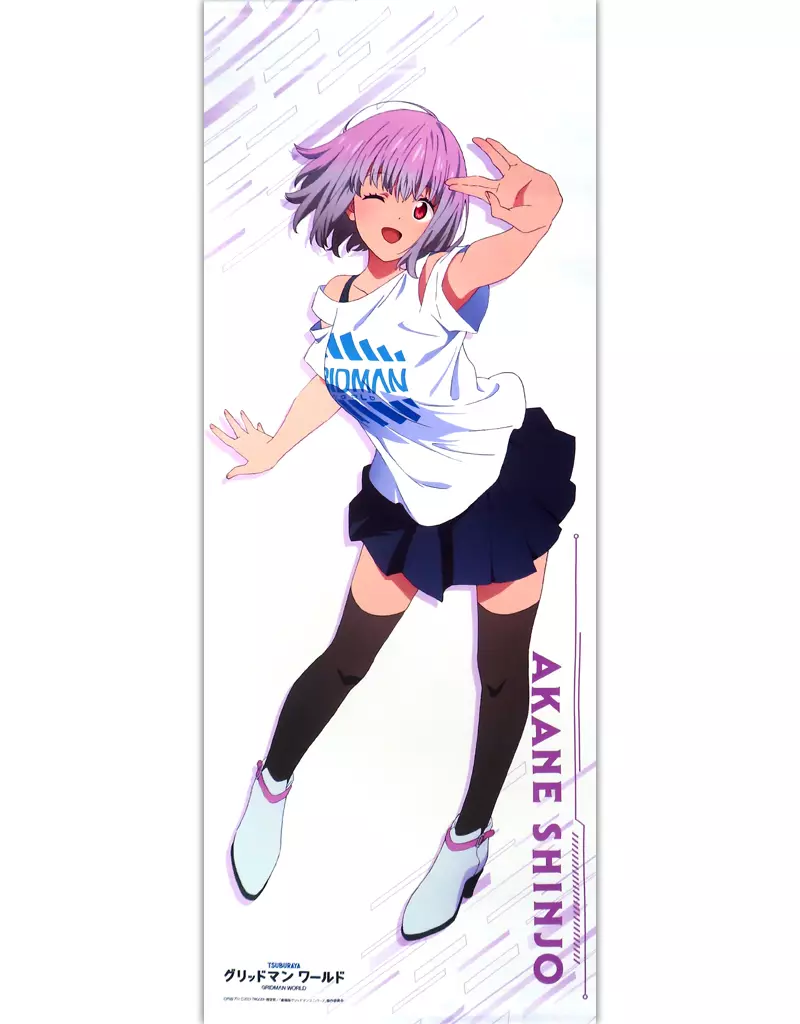 タペストリー　新条アカネ 等身大タペストリー 「グリッドマンワールド」