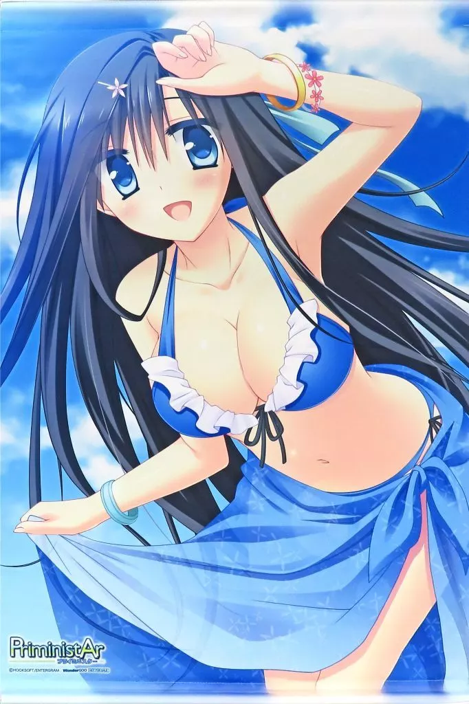 [単品] 継花三澄 描き下ろしB2 「PS4/Switchソフト PriministAr -プライミニスター- WonderGOOオリジナル限定セット」 同梱特典