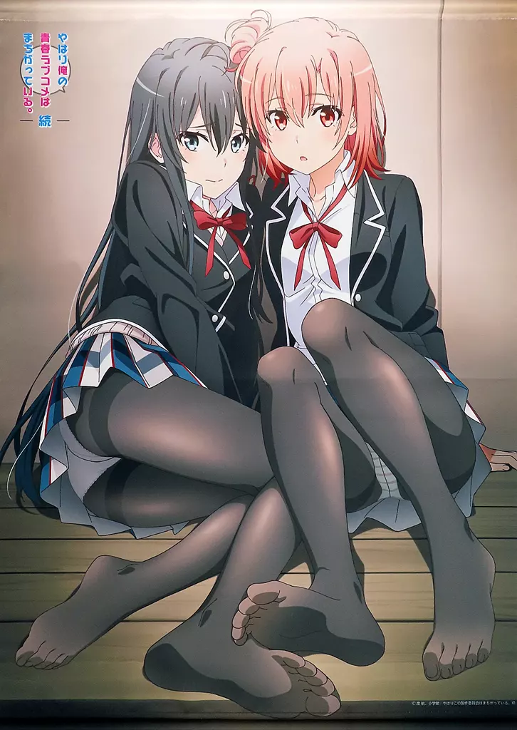 駿河屋 -<中古>[付属品欠品] 雪乃＆結衣(くろタイツver.) 描き下ろしB2 