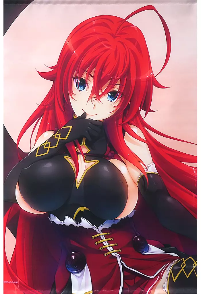 タペストリー　リアス・グレモリー 悪魔 B2タペストリー 「くじ引き堂 ハイスクールD×D リアスがいっパイ くじ」 A-1賞