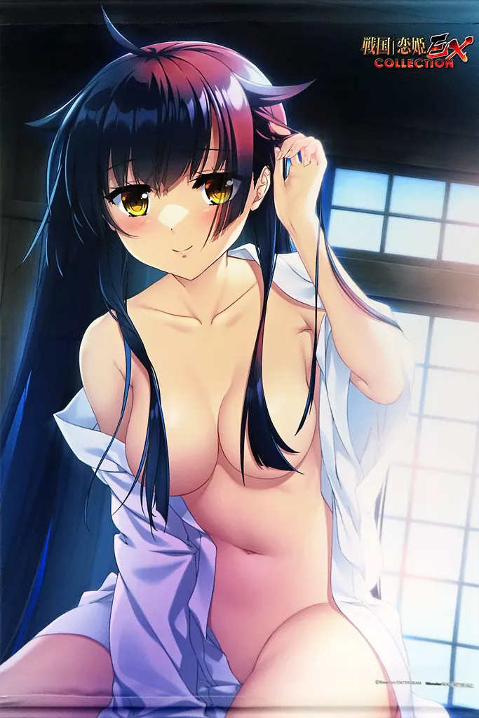 織田久遠信長 描き下ろしB2 「Switchソフト 戦国†恋姫EX -COLLECTION- 完全生産限定版」 WonderGOO購入特典_image