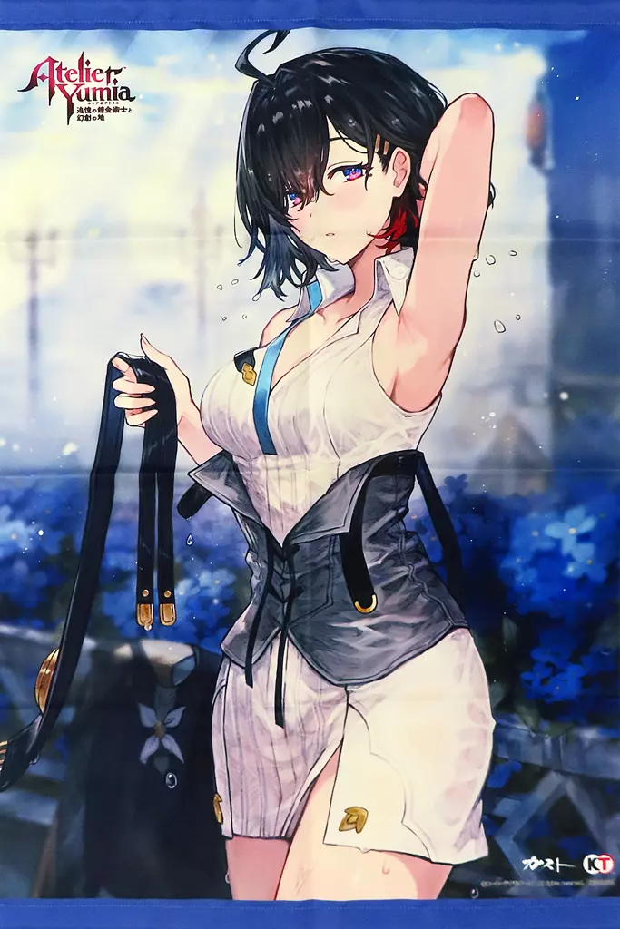 ユミアのアトリエ ～追憶の錬金術士と幻創の地～ゲーマーズ特典タペストリーのみ Amazon.co.jp: ユミアのアトリエ ~追憶の錬金術士と幻創の地~ NS