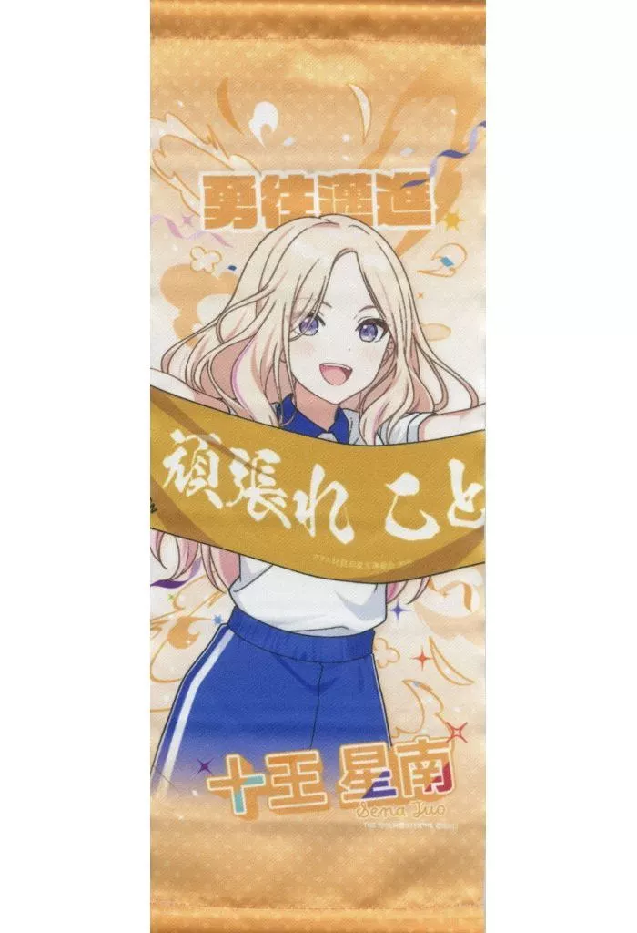 十王星南 公式ミニタペストリー 「学園アイドルマスター クラス対抗初星大運動会」