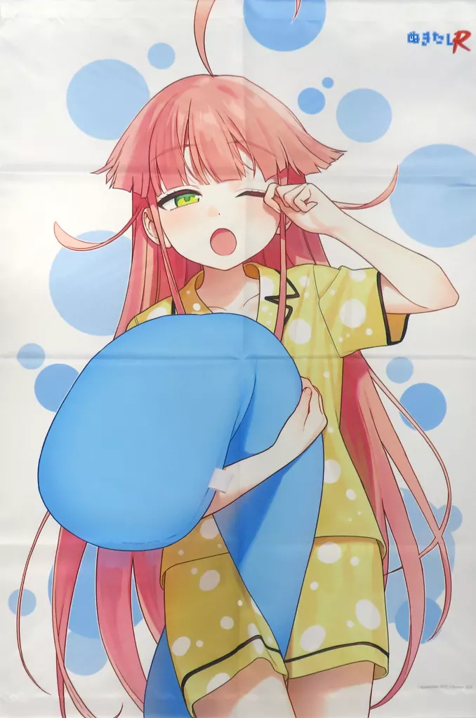 渡会ヒナミ 描き下ろしB2 「コミックス ぬきたしR 第1巻 メロンブックス限定版B」 同梱特典_image