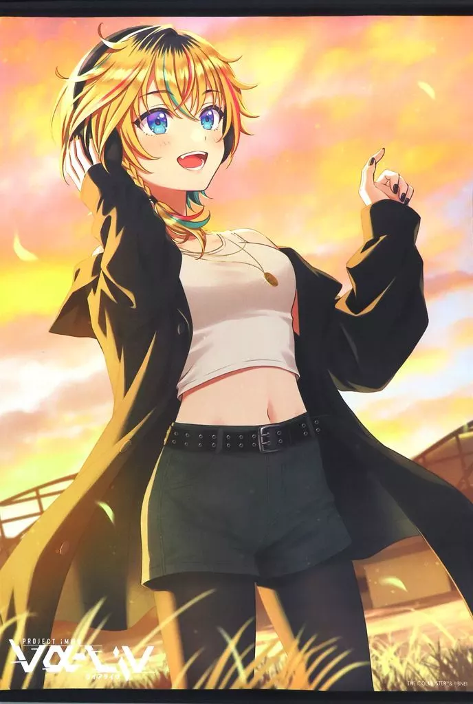 [単品] レトラ B2タペストリー 「アイドルマスター vα-liv(ヴイアライヴ) レトラ誕生祭2024」