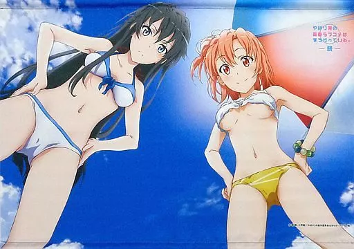 駿河屋 -<中古>雪ノ下雪乃＆由比ヶ浜結衣(水着ver.) B2タペストリー 