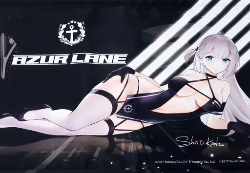 Amazon.co.jp: アズールレーン B2タペストリー 翔鶴 & 瑞鶴 レースクイーン 2種セット : おもちゃ