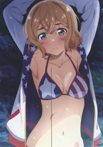 駿河屋 -<中古>七海麻美 特大のれん 「彼女、お借りします