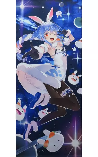 タペストリー　兎田ぺこら 等身大タペストリー 「バーチャルYoutuber ホロライブ 兎田ぺこら 誕生日記念2023」